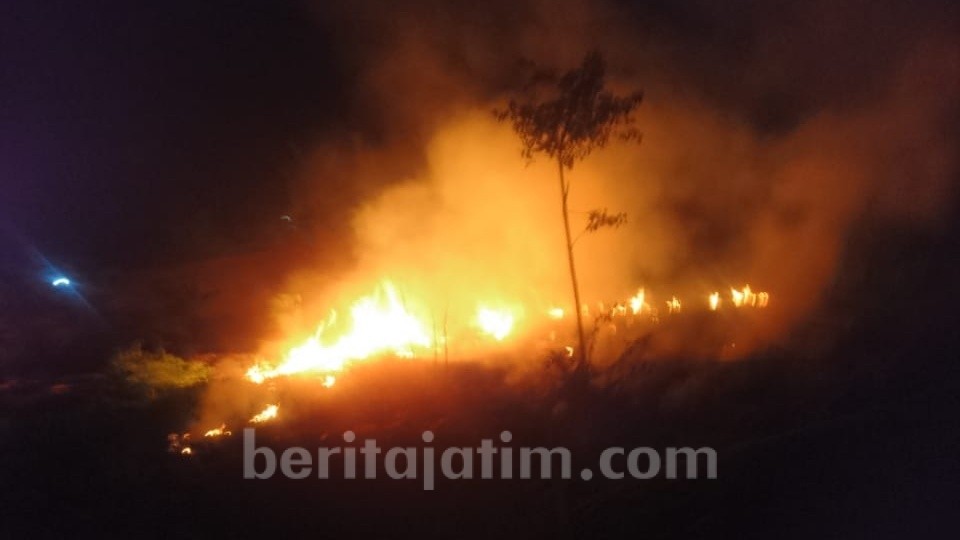 Tumpukan Limbah Kayu Terbakar