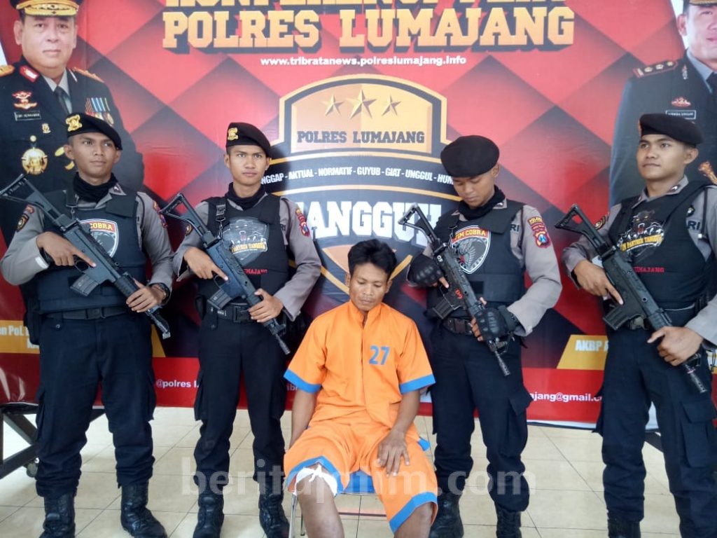 Keluar dari Persembunyian, Maling Sapi Disergap Tim Cobra