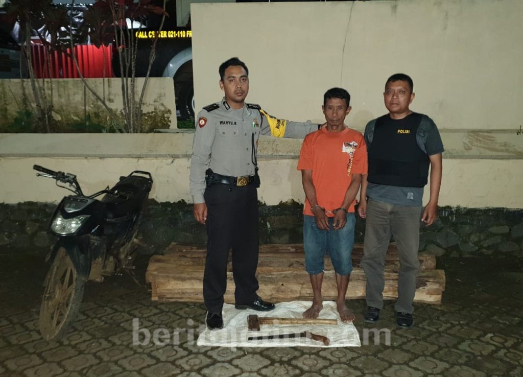 Angkut Kayu Jati dari Hutan, Sutriman Dibekuk Polisi