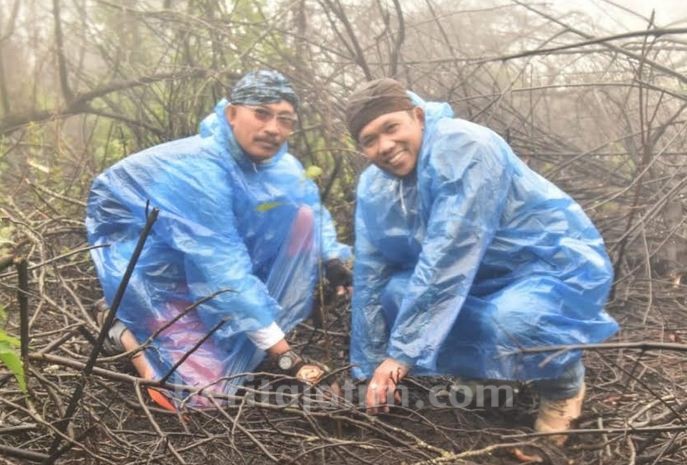 Pasca Kebakaran, Hutan Semeru Kembali Dihijaukan