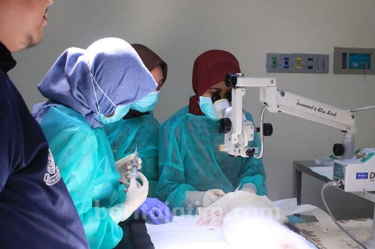 Telah Ditemukan Solusi untuk Atasi Kebutaan Akibat Ulkus Kornea