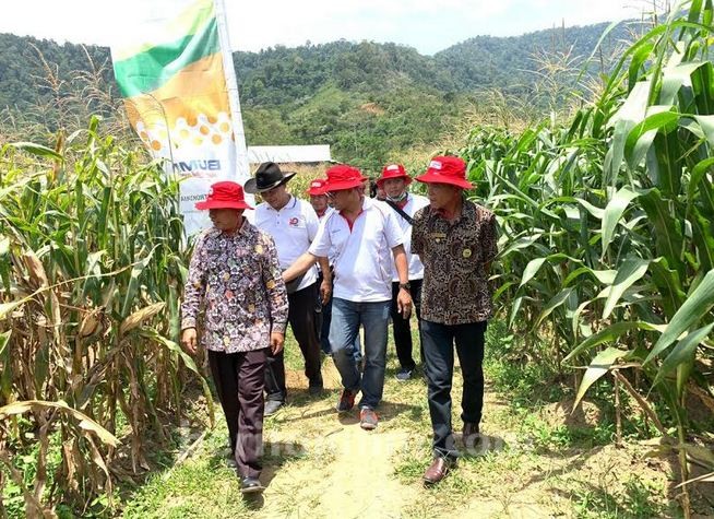 Petrokimia Gresik Sosialisasikan Produk Komersial di Sentra Penghasil Jagung