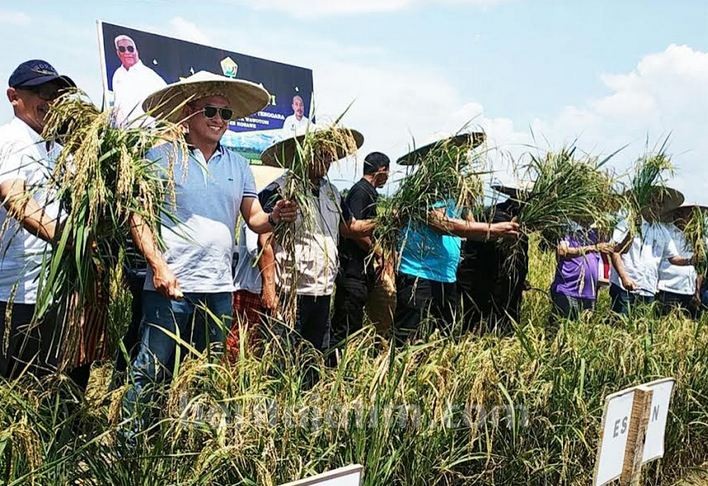 PG Perbanyak Demplot di Luar Pulau Jawa