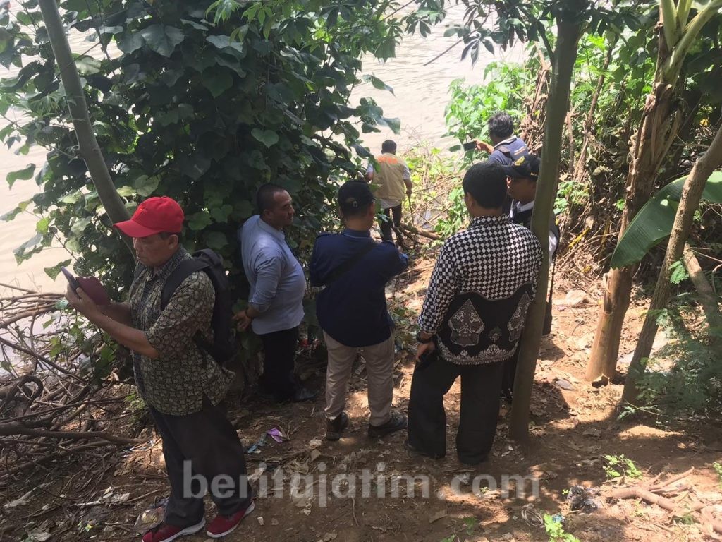 BKSDA Jatim Lacak Keberadaan Buaya di Sungai Brantas Kediri