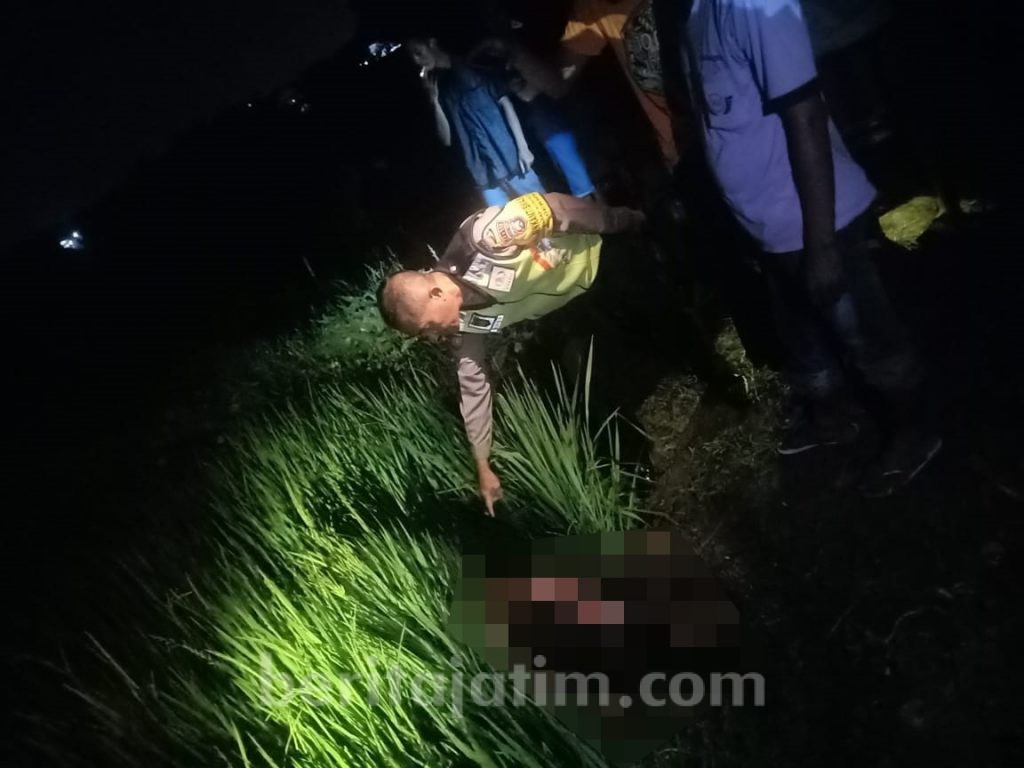 Lagi, Warga Gresik Tewas Tersengat Listrik Jebakan Tikus