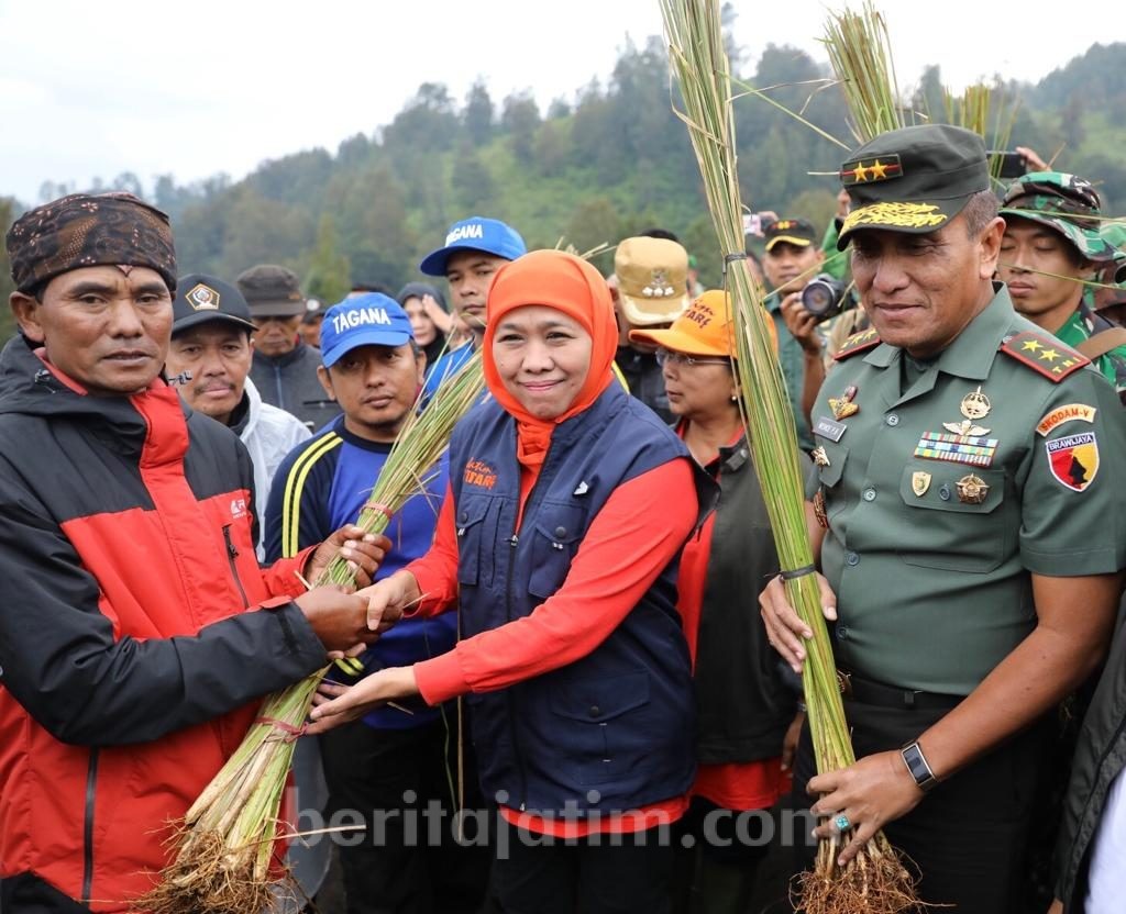 Gubernur Khofifah dan Pangdam V/Brawijaya Tanam Rumput Vetiver di Ranupani