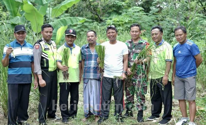 Aparat di Nganjuk Budidayakan Rumput Vetiver Cegah Longsor