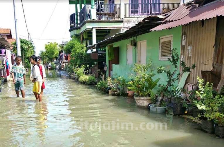 Ratusan Rumah di Driyorejo Gresik Terendam