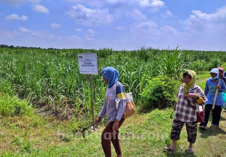 KPK Sita 4 Bidang Tanah Milik MKP Mantan Bupati Mojokerto