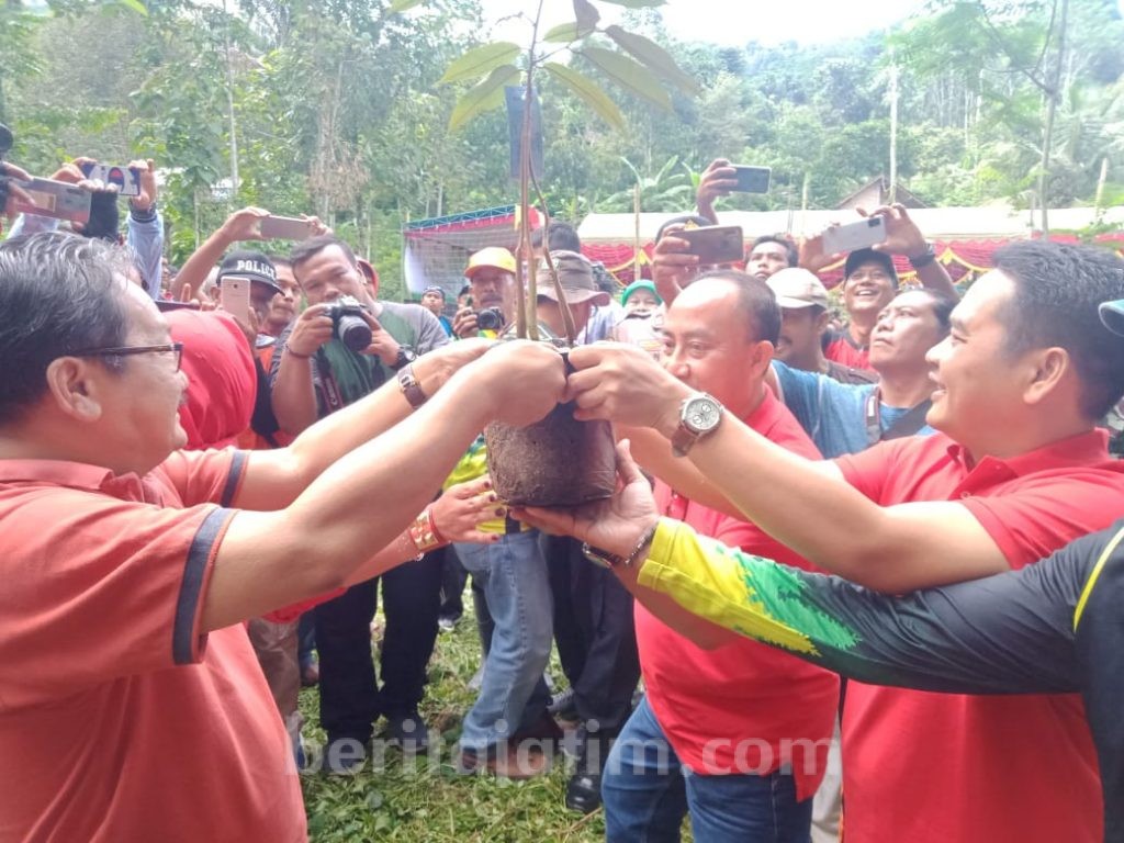 Lestarikan Alam, PDIP Jombang Tanam Pohon di Wonosalam