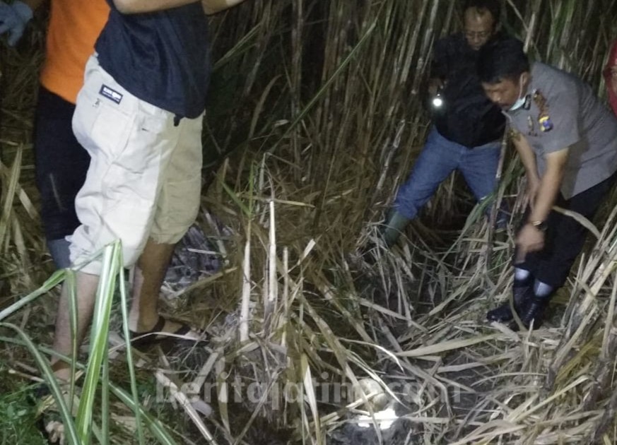 Panu Temukan Tengkorak Manusia di Kebun Tebu Candinegoro