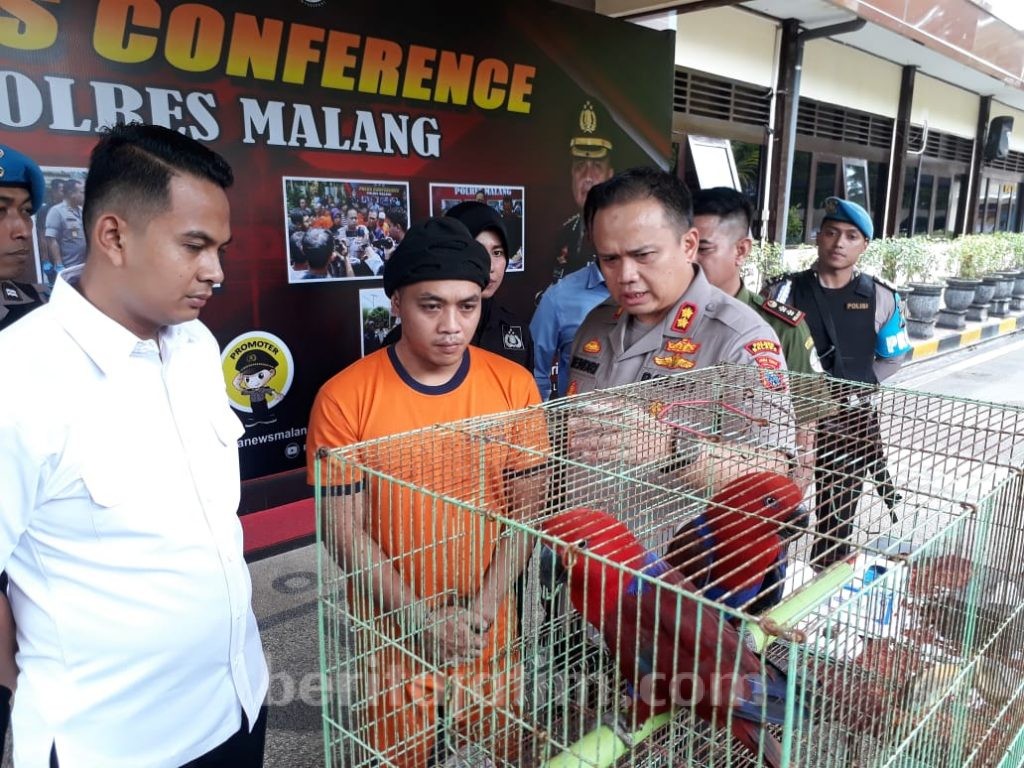 Marak Jual Beli Satwa Dilindungi, Ini Seruan BKSDA