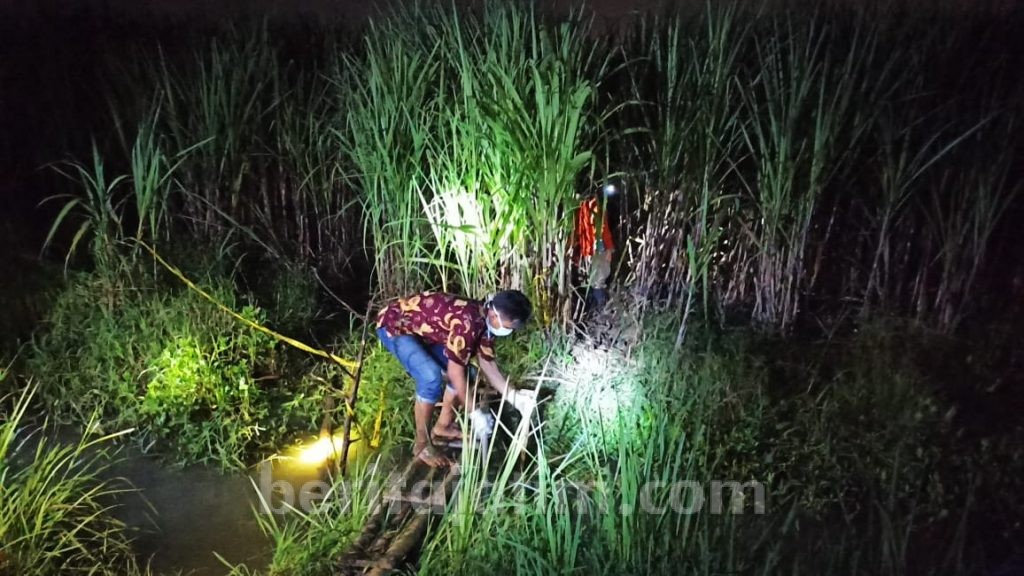 Evakuasi Kerangka Manusia di Kebun Tebu, Polisi Temukan Pakaian
