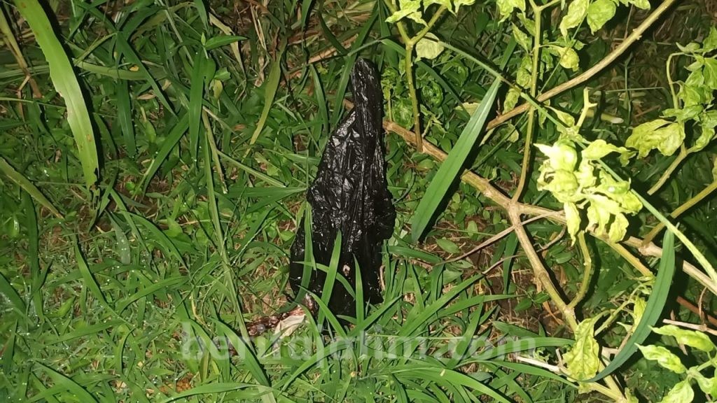 Tega! Janin Dimasukkan ke Plastik Lalu Dibuang ke Sawah
