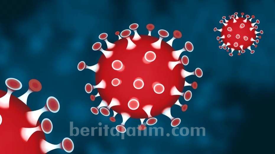 PDP Covid-19 di Jombang Peserta Pelatihan Petugas Haji Foto: Ilustrasi