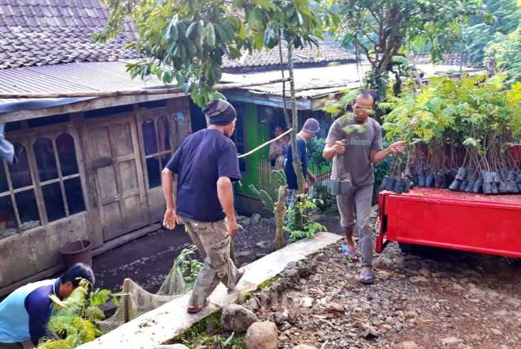 Ribuan Bibit Pohon Siapkan Hijaukan Lokasi TMMD