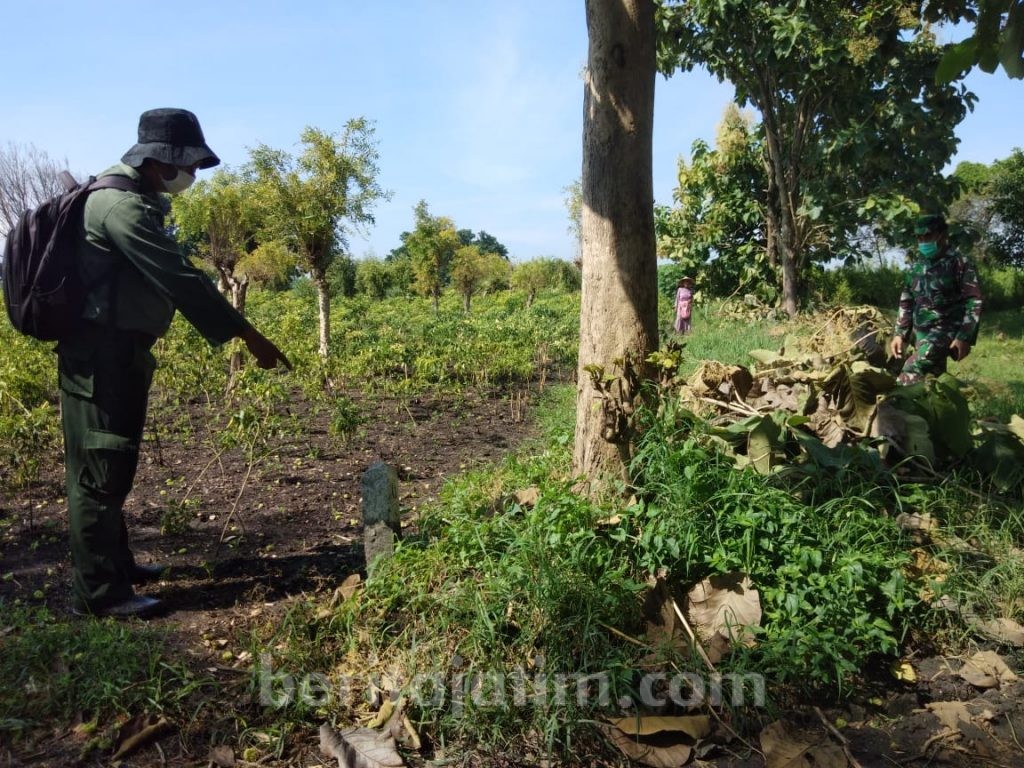 Lahan Perhutani di Kabupaten Mojokerto Jadi Lokasi Pemakaman Pasien Covid-19