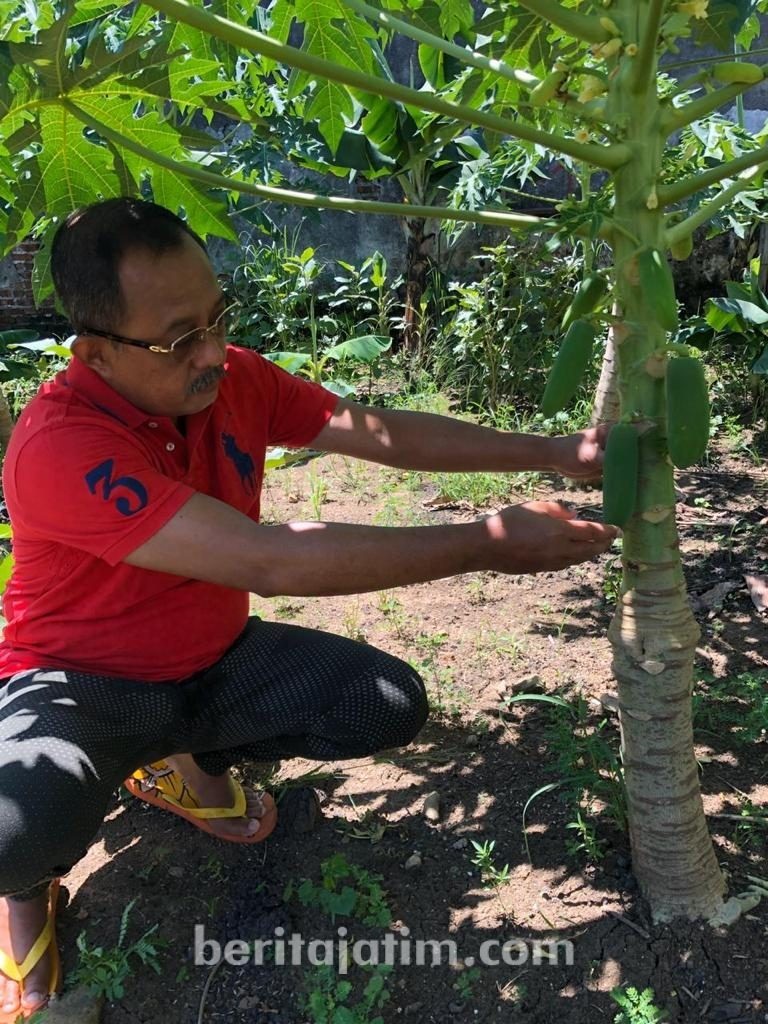 Anggota DPRD Jatim Ajak Warga Gotong-royong Tanam Sayuran