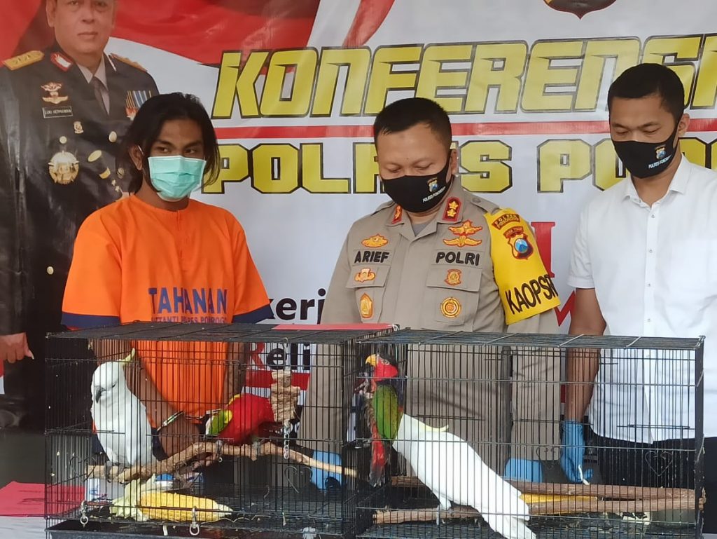 Jual Satwa Dilindungi, Pemuda Asal Madiun Diamankan