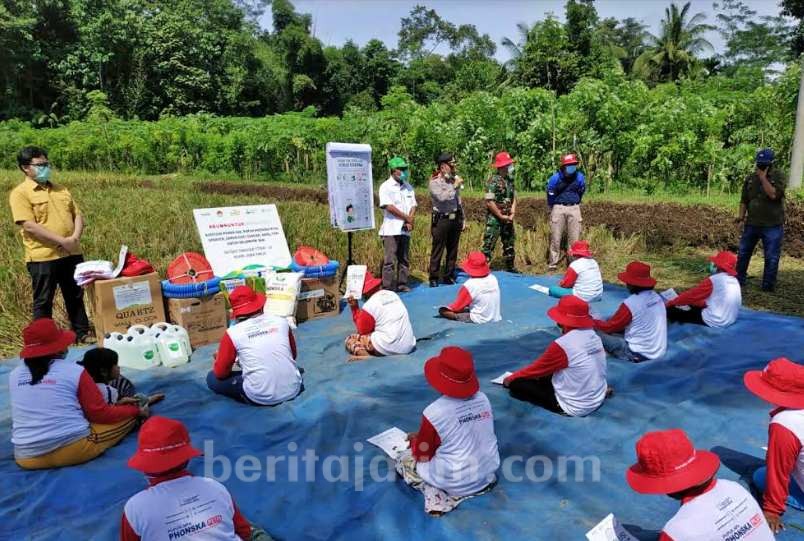Petrokimia Gresik Gelar Panen Padi Bersama di Jember dan Ngawi