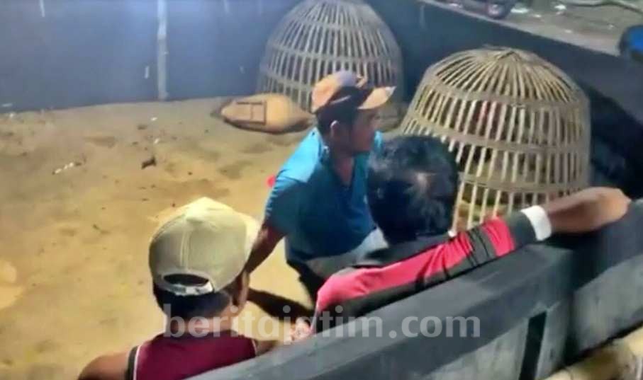 Polres Mojokerto Gerebek Judi Sabung Ayam