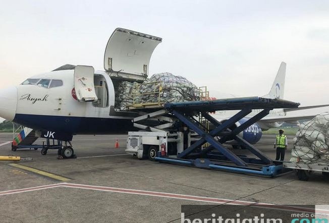 Pesawat Cardig Air Hari Ini Kembali Terbang