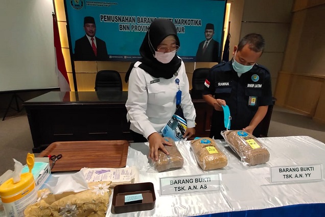 BNNP Jatim ‘Panen’ Ganja di Tengah Wabah Corona