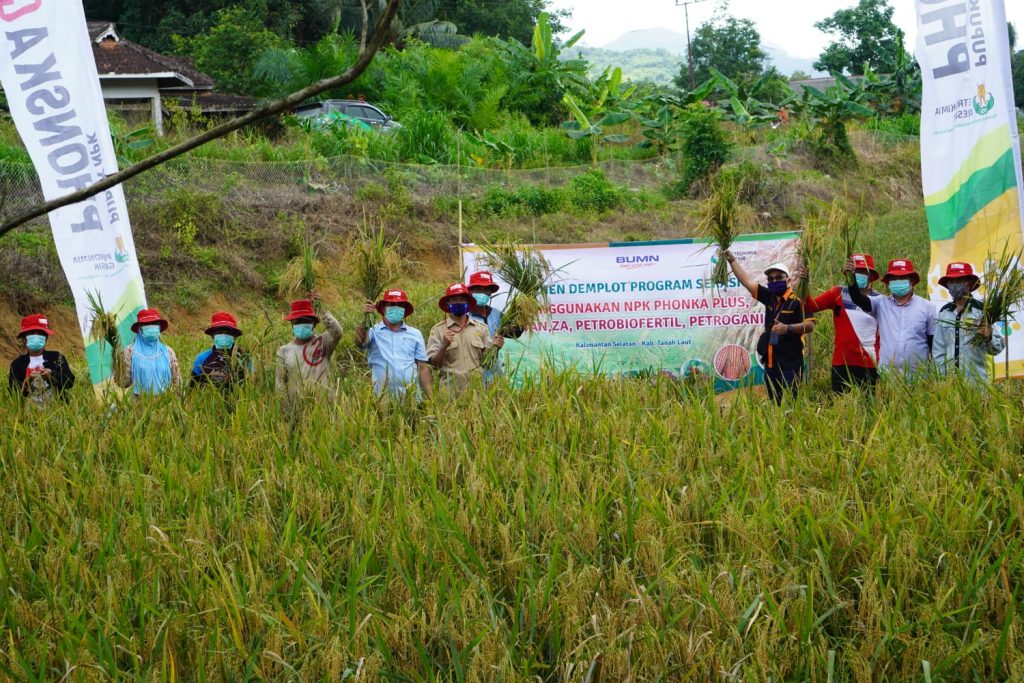 Petrokimia Gresik Sulap Lahan Tidur Rawa Jadi Lahan Produktif