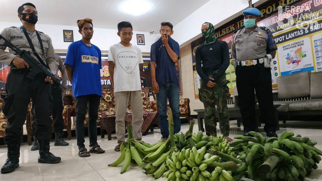 Komplotan Pencuri Pisang Mengaku Hasilnya untuk Mancing, Nongkrong dan Makan