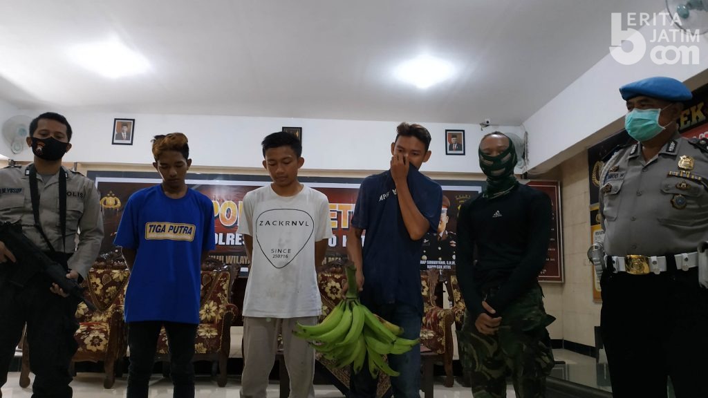 Komplotan Maling Pisang di Mojokerto Beralibi Sewa Pick up untuk Mancing
