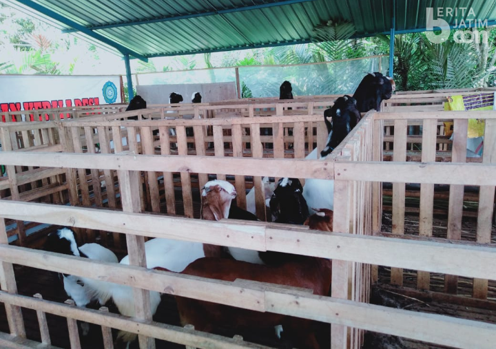 Blitar Apresiasi Dukungan Pertamina
