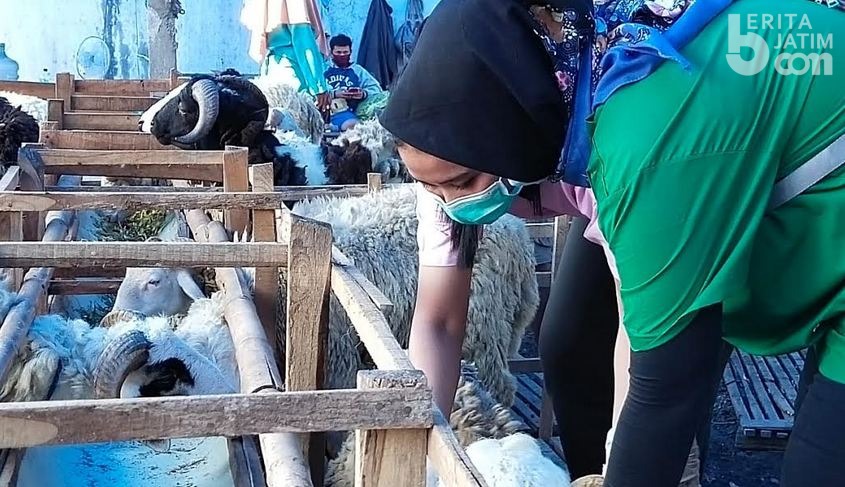 Disnakkan Bojonegoro Sidak ke Pedagang Hewan Kurban