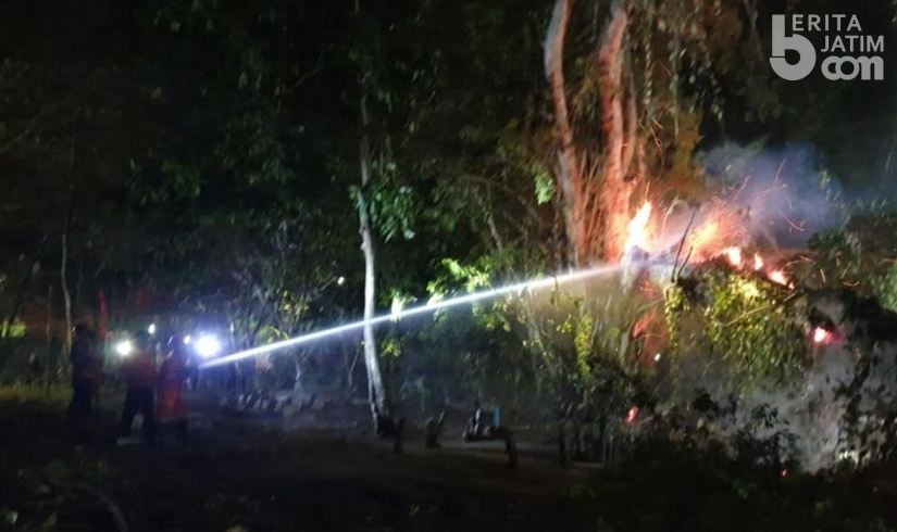 Geger di Tuban, Pohon Tua di Kuburan Terbakar saat Malam Takbiran