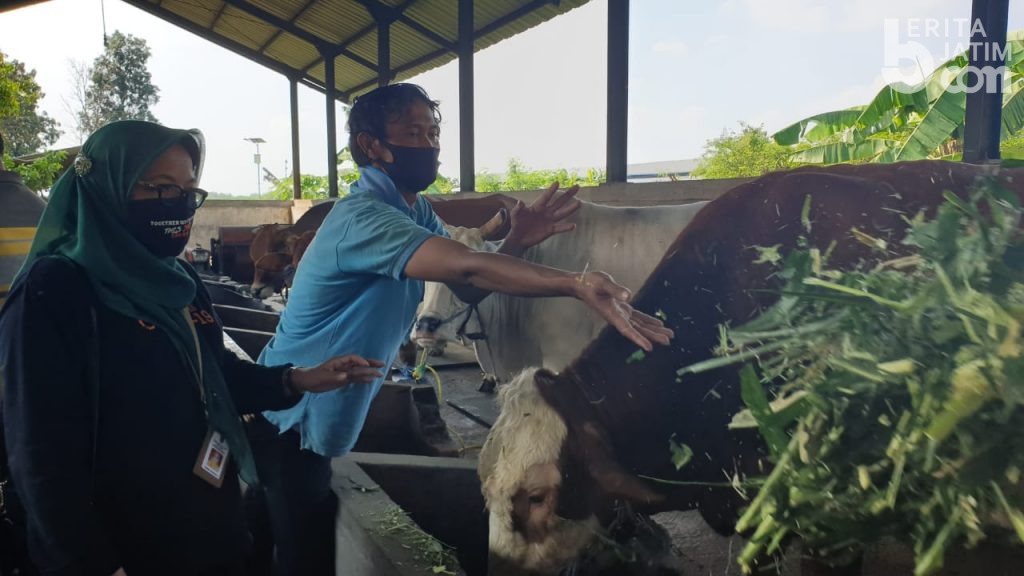 Ini 4 Instruksi Disnak Jatim untuk Penjualan dan Pemotongan Hewan Kurban