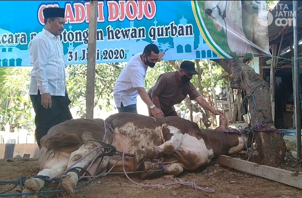 Pandemi Covid-19, CV Adhi Djojo Serahkan Daging Kurban untuk Warga 6 Desa