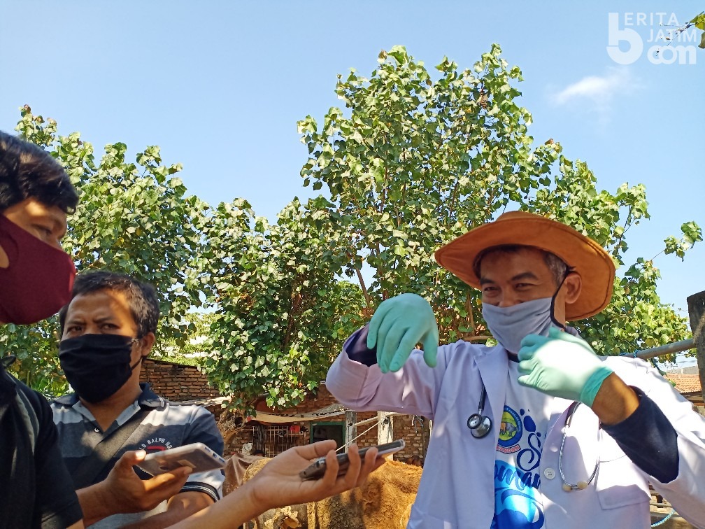 Pandemi, Jumlah Pedagang Hewan Kurban di Kediri Menurun
