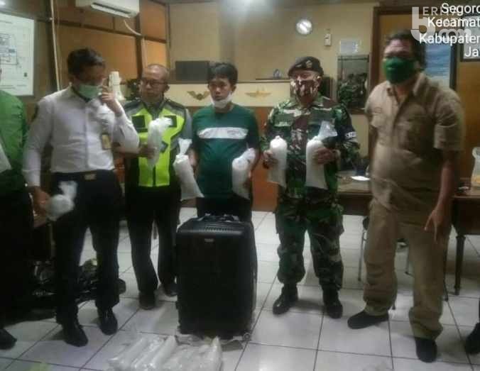 TNI AL Bandara Juanda Gagalkan Penyelundupan Benur Lobster Ilegal
