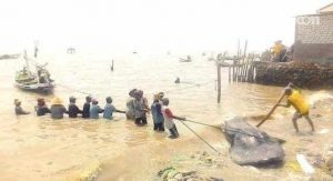 Hiu Tutul 4,5 Meter Tersangkut Jaring Nelayan Sampang