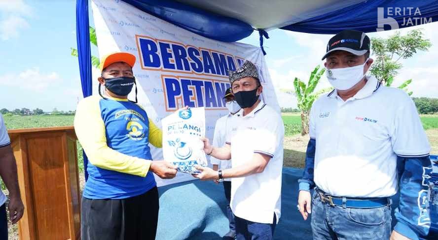 Alokasi Pupuk Bersubsidi di Banyuwangi Hanya Cukup Sebulan