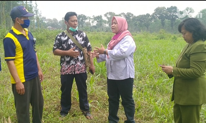 LMDH Budidaya Satak di Kediri Dorong Petani Budidaya Porang
