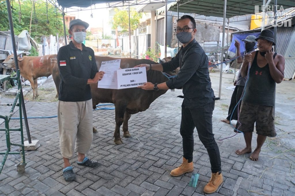 Pelindo 3 Salurkan 129 Sapi dan 223 Kambing Kurban Kepada Masyarakat