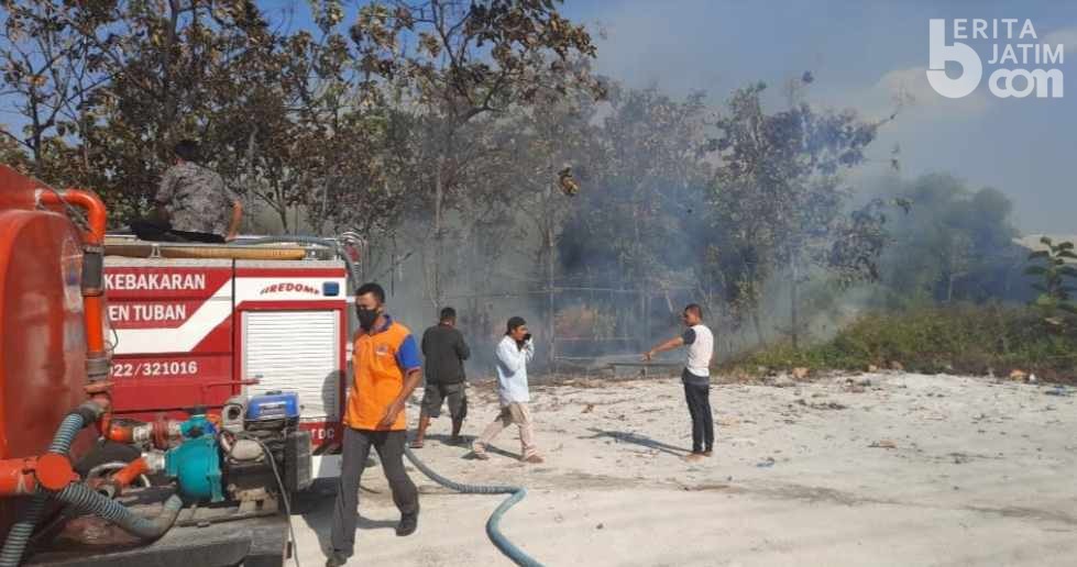 Lahan Kosong di Hutan Jati Tuban Dilalap Api, 2 Truk Ikut Terbakar
