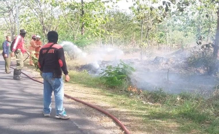 Lahan Hutan di Bojonegoro Terbakar, Diduga Sengaja Disulut Api