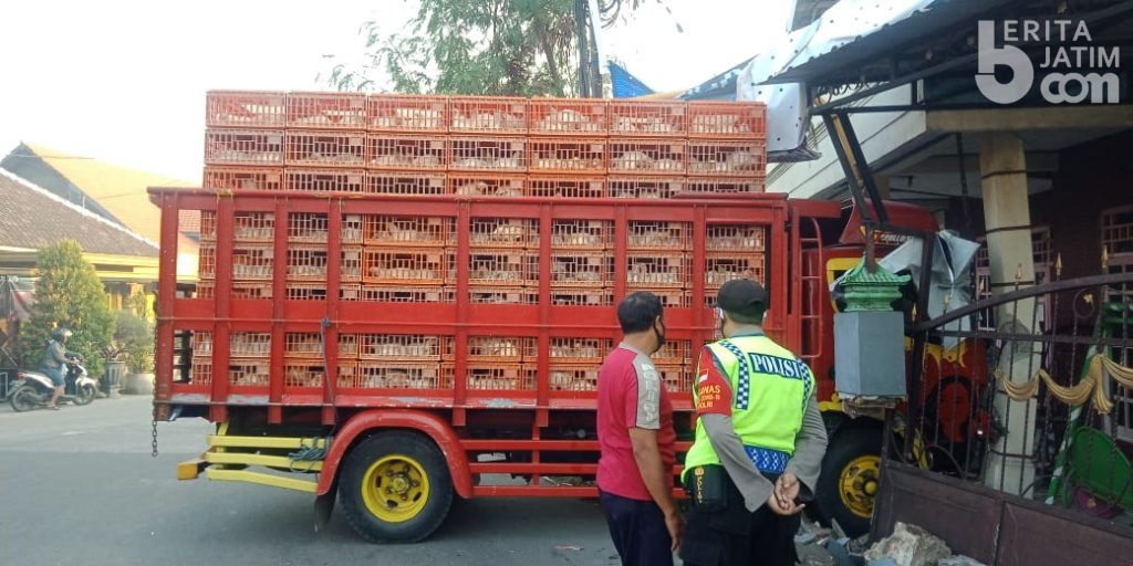 Truk Muat Ayam Tabrak Pagar Rumah Warga Kutorejo Mojokerto