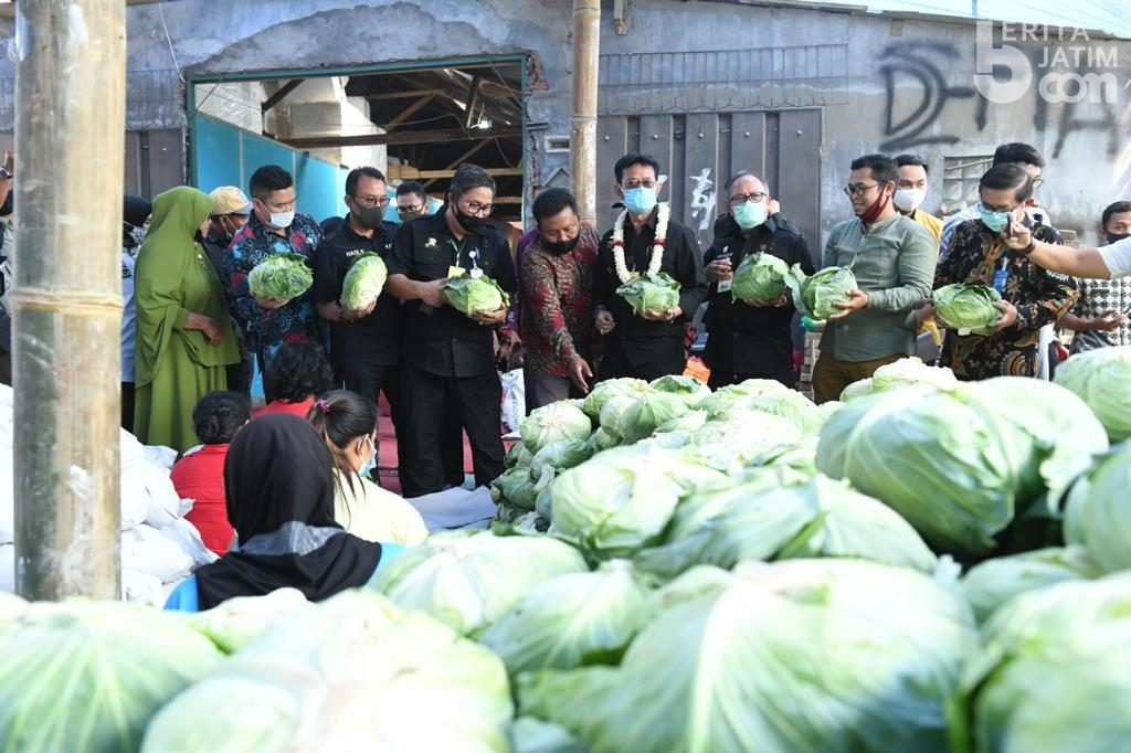 Kabupaten Malang Ekspor 100 Ton Kubis ke Taiwan