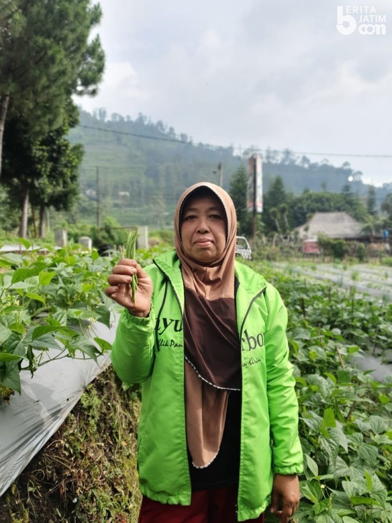Sayurbox Rambah Pasar Surabaya