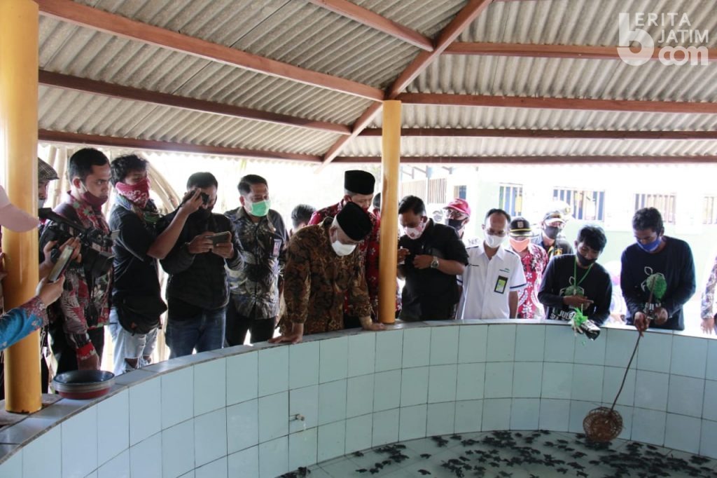 Pertamina Dukung Pelestarian Penyu Lekang