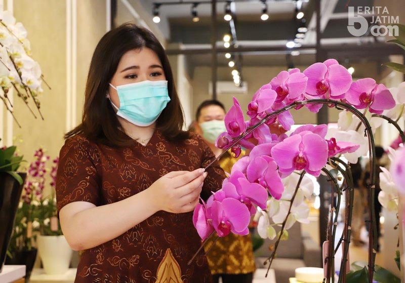 Gerai Anggrek Premium Kini Tersedia di Surabaya