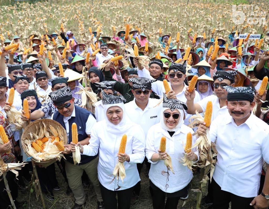 Hari Tani Nasional, Khofifah Ajak Milenial Geluti Sektor Pertanian