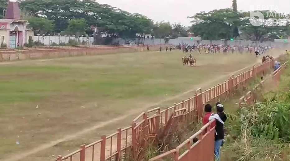 Digelar Tanpa Penonton, Event Karapan Sapi di Bangkalan Live di Medsos
